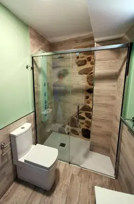 a bathroom with a toilet and a shower at Apartamentos Casa do Bouza Vello in Sober