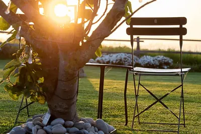 a table and a chair next to a tree at Hotel Rural La Sobreisla in Puerto de Vega