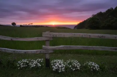 a wooden bench in a field with a sunset in the background at Hotel Rural La Sobreisla in Puerto de Vega