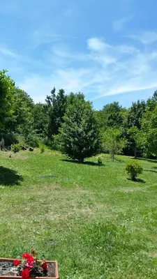 a field of grass with trees and flowers on it at A CASA DO BUXO in Nogueira de Ramuin