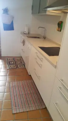 a kitchen with white cabinets and a sink and a rug at A CASA DO BUXO in Nogueira de Ramuin