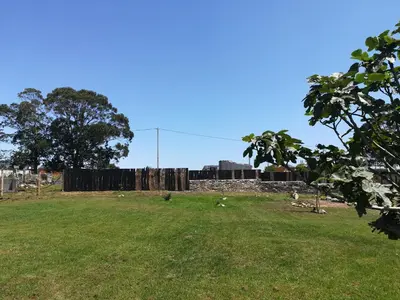 a field of grass with a fence and a tree at La Isla de Próspero in Tapia de Casariego