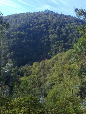 a mountain covered in trees in the distance at Casa el Fanoso in Luarca
