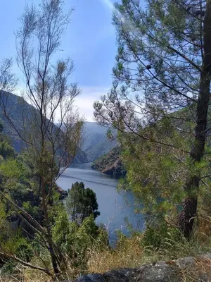 a view of a lake from a hill with trees at En plena Ribera Sacra CasaCocó in Ferreira de Panton