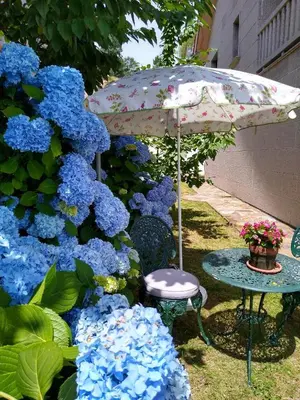 a table with an umbrella next to blue flowers at En plena Ribera Sacra CasaCocó in Ferreira de Panton