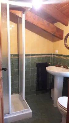 a bathroom with a shower and a toilet and a sink at Casa rural Albina in Susañe del Sil