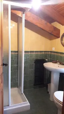 a bathroom with a shower and a toilet and a sink at Casa rural Albina in Susañe del Sil