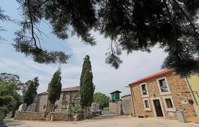 a row of trees in front of a building at Casa Santa María in Melide