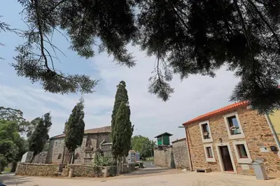 a row of trees in front of a building at Casa Santa María in Melide