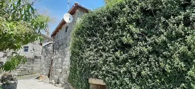 a large green bush next to a building at Casa da Canella - En la Ribeira Sacra in Ourense