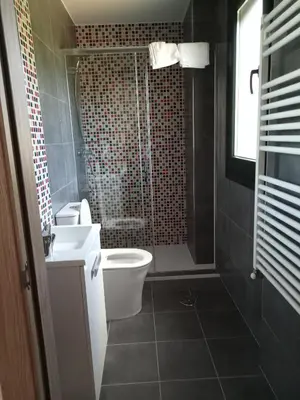 a bathroom with a toilet and a sink and a shower at Pension Xacobeo Lavacolla in Lavacolla