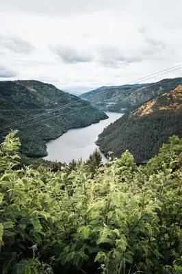 a view of a river in a valley at Torre Tanquián Eco Finca - Ribeira Sacra in Pantón