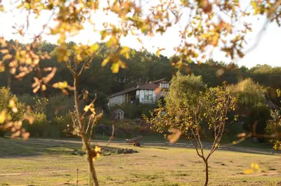 a house in a field with trees in the foreground at Torre Tanquián Eco Finca - Ribeira Sacra in Pantón