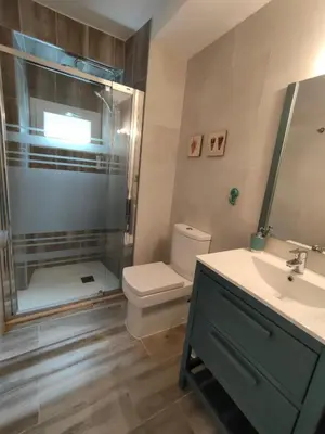 a bathroom with a shower and a toilet and a sink at Casa Luis in Arzúa