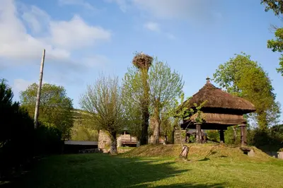 a building with a bird nest on top of it at Casa Bouza in Becerreá