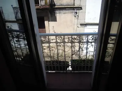 a cat sitting on a balcony looking out a window at Albergue O Durmiñento in Sarria