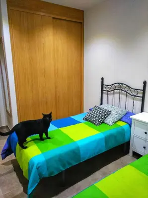 a black cat standing on a nightstand between two beds at Casa rural El Gato Negro in Trefacio