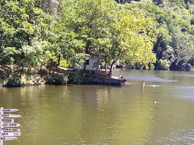 a house on an island in a river with trees at Ribera Sacra ( apartamento Rural ) in Ferreira de Panton