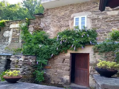 an old stone house with a door and flowers at Ribera Sacra ( apartamento Rural ) in Ferreira de Panton