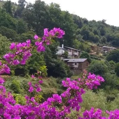 Ribera Sacra ( apartamento Rural )