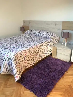 a bedroom with a bed and a purple rug at VUT-OR-182 Atico Emilia Pardo Bazán in Allariz