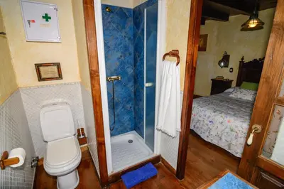 a bathroom with a shower and a toilet and a bed at Casas da Lexa in Taramundi