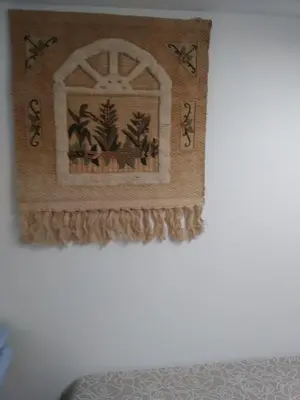 a picture of a window with birds on a wall at Hotel Vilaseco in Chantada