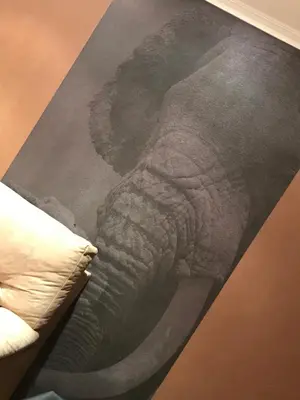 a picture of an elephant on a wall at vivienda vacacional Iguazu in Ribadeo