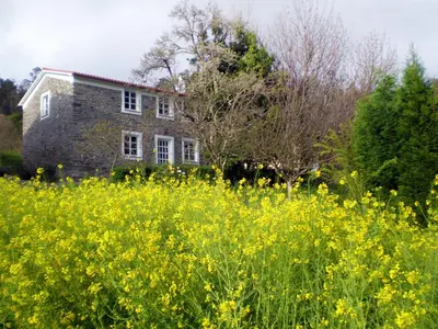a field of yellow flowers in front of a house at Holiday Home El Olivo by Interhome in Puentedeume