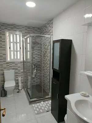 a bathroom with a shower and a toilet and a sink at Buen camino in Santiago de Compostela