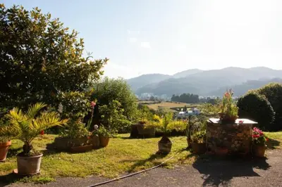 a garden with potted plants and mountains in the background at Vieiro Verde in Vieiro