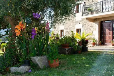 a garden with flowers in front of a house at Vieiro Verde in Vieiro