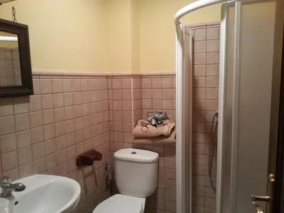 a bathroom with a shower and a sink at Apartamentos Rurales Buenamadre in Pola de Somiedo