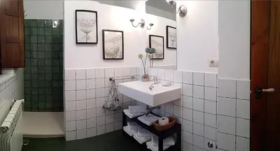 a bathroom with a sink and a shower at Apartamentos Rurales Casanova in Tapia de Casariego