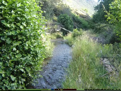 a dirt trail through a field of grass and trees at Carriles Romanos in Odollo