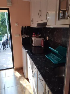 a kitchen with a black counter top and a dog at O Seixo 1 in Mugardos