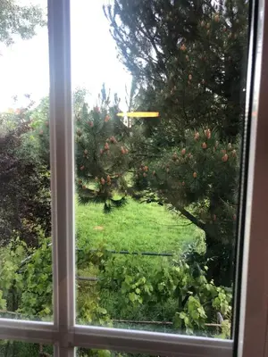 an open window with a view of a garden at Oktheway Casa da Escola in Sarria