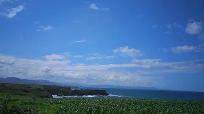 a view of the ocean and a green field at A Fragua in Tapia de Casariego