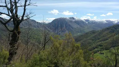 a view of a mountain with trees and mountains at Apartamentos Valdecarzana Senda del Oso in San Martín
