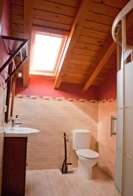a bathroom with a toilet and a sink and a window at Apartamentos Valdecarzana Senda del Oso in San Martín