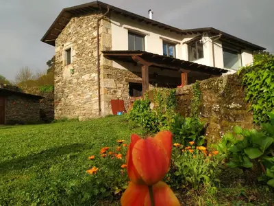 a flower in the yard of a house at TOURON Nº1 in Carballedo