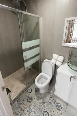 a bathroom with a shower and a toilet and a sink at Vintage Ribadavia in Ribadavia
