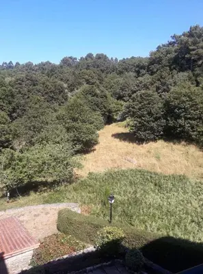 an overhead view of a hill with trees and a field at Hotel A Forxa Cafetería Restaurante in Carballeira