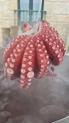 a large red octopus on top of a table at Hotel A Forxa Cafetería Restaurante in Carballeira