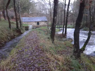 a path leading to a stone cabin in the woods at Molino de Louzao in Palas de Rei