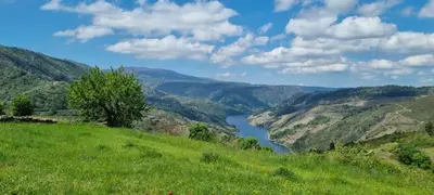 a green hillside with a river in a valley at Miradores do Sil Hotel Apartamento in Cristosende