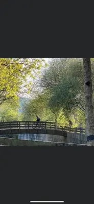 a person sitting on a picnic table in a park at Carmen in Caldas de Reis