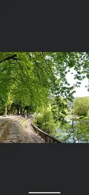a tree lined road next to a body of water at Carmen in Caldas de Reis