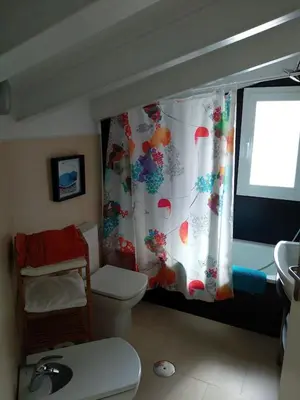 a bathroom with a toilet and a shower curtain at La Postoca in Viavélez