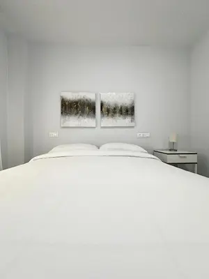 a bedroom with a white bed and two paintings on the wall at Lemos Luna in Monforte de Lemos